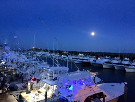 Pirate's Cove Marina, Fuel Up Your Boat