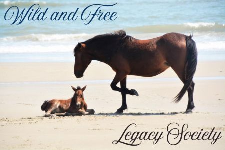 Corolla Wild Horse Fund, Join the Legacy Society