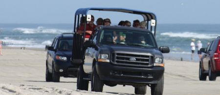 Bob's Corolla Wild Horse Tours, 4x4 Wild Horse Tours