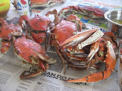 How to Eat a Crab