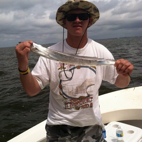 Today's catch! Ribbon ! TTime Charters Outer Banks Fishing Report