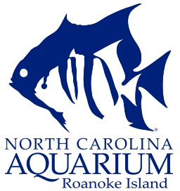 50% Off Admission | North Carolina Aquarium on Roanoke Island