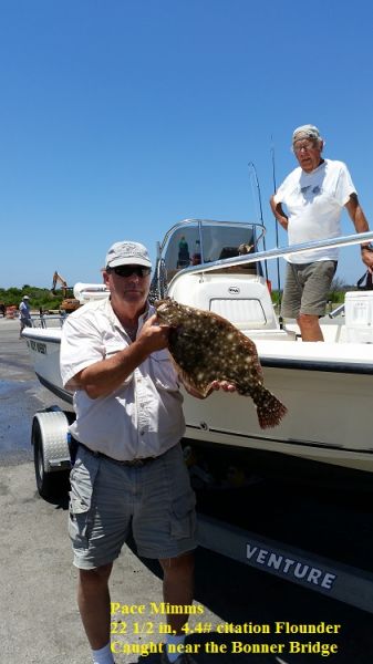 bonners bait and tackle