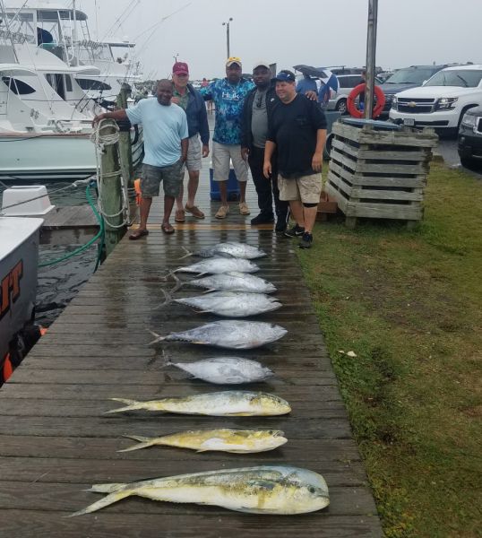 Corolla Fish Report OBX Bait & Tackle Corolla Outer Banks Outer