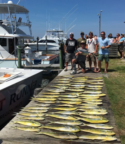 Corolla Fish Report OBX Bait & Tackle Corolla Outer Banks Outer