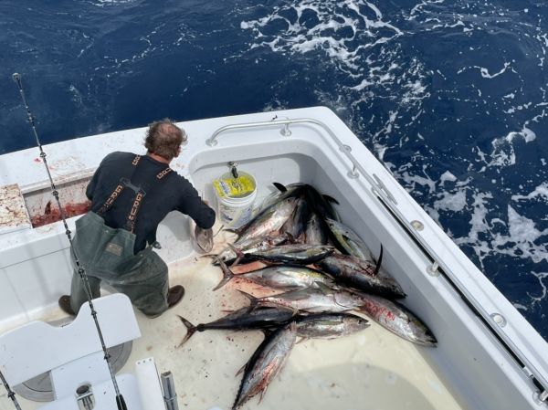Nags Head Charter Fishing - 04/09/2021 | April 9, 2021 | Country Girl Charters | Outer Banks