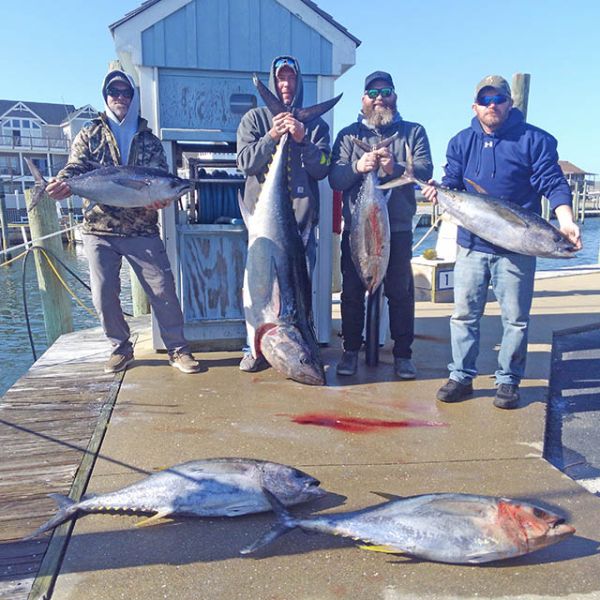All Kinds of Tuna! Tuna Duck Sportfishing Outer Banks Fishing Report