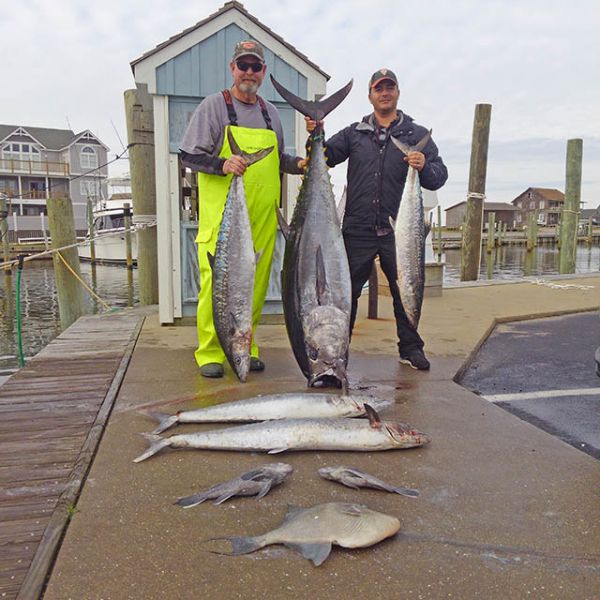 Bluefin Tuna Retained Tuna Duck Sportfishing Outer Banks Fishing Report