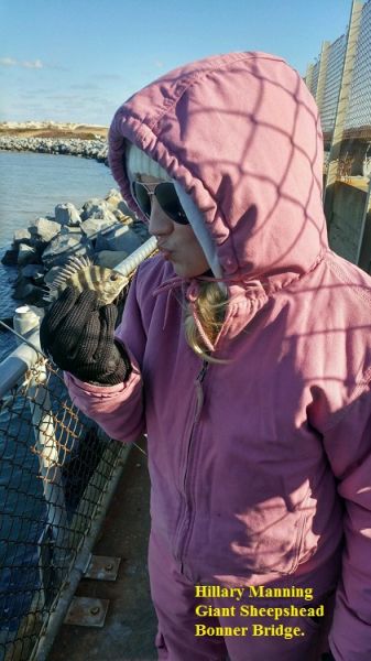 bonners bait and tackle