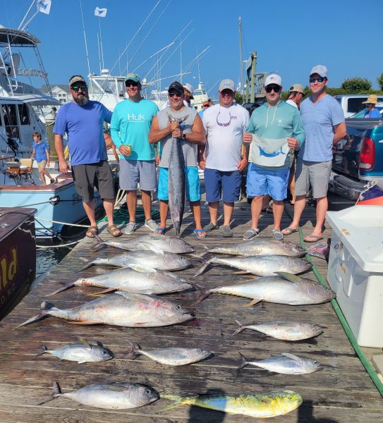 Sails & Tails! Pirate's Cove Marina Outer Banks Fishing Report