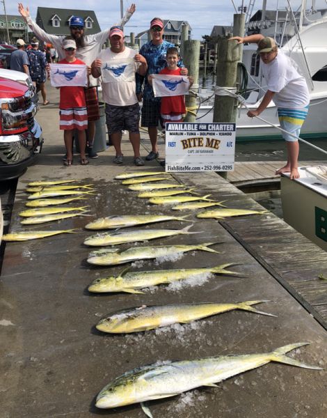 sailfish and dolphin june