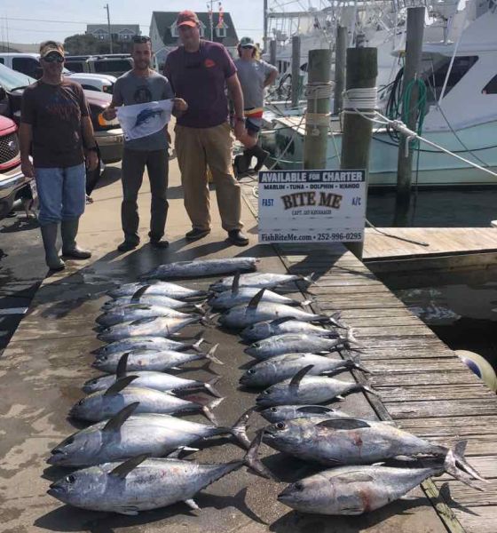 Great Tuna Action, a sailfish and a wahoo to boot Bite Me