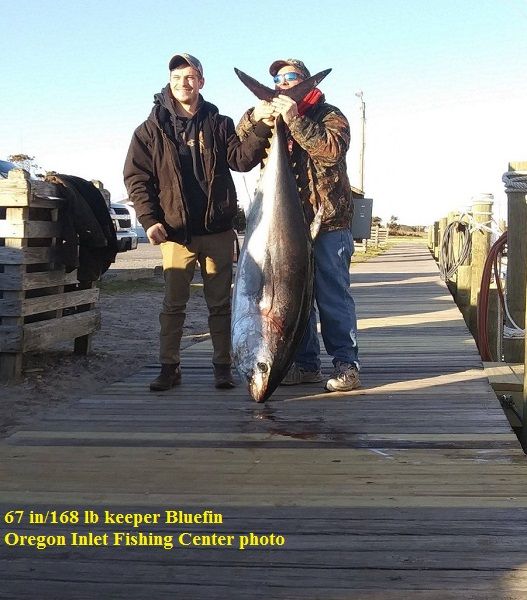 tw's bait and tackle