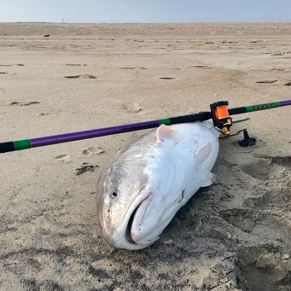 tw's bait and tackle