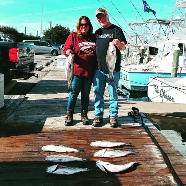 Striper Sunday Pirate's Cove Marina Outer Banks Fishing Report