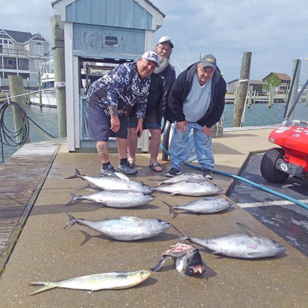 Tuna and Dolphin! Tuna Duck Sportfishing Outer Banks Fishing Report