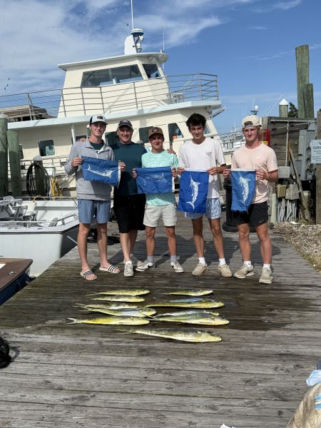 Marlin to Mahi Pirate #39 s Cove Marina Outer Banks Fishing Report
