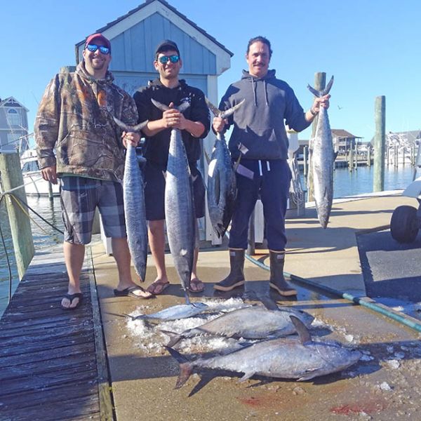 Tuna and Wahoo! Tuna Duck Sportfishing Outer Banks Fishing Report