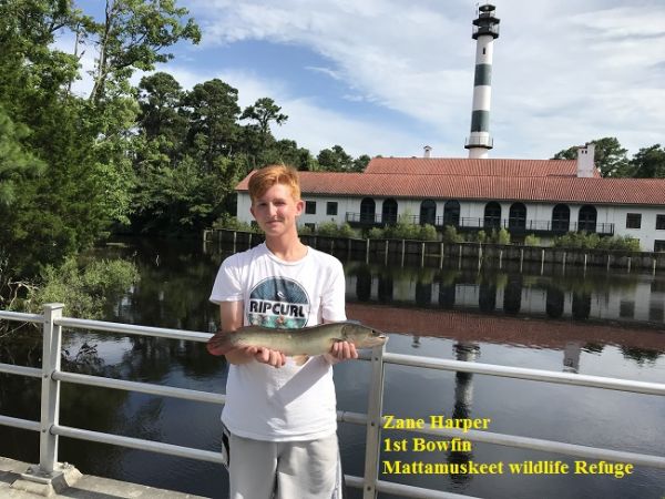 lighthouse bait and tackle