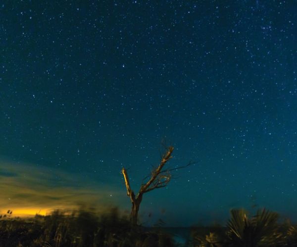starry nights hatteras village outer banks events