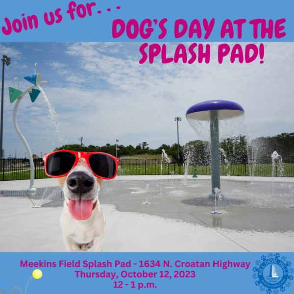Dog Days at the Splash Pad OBX Events Outer Banks Events