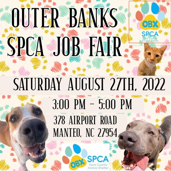 Outer banks hot sale spca dogs