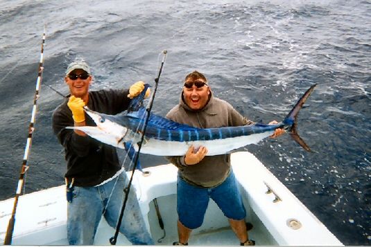 head boat deep sea fishing carolina beach nc billfishing aboard the tuna duck tuna duck sportfishing head boat deep sea fishing carolina beach nc billfishing aboard the tuna duck tuna duck sportfishing