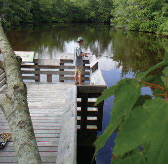 Fishing in Nags Head Woods | Town of Kill Devil Hills | Outer Banks Things To Do