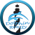 Dolphin Realty Dolphin Realty